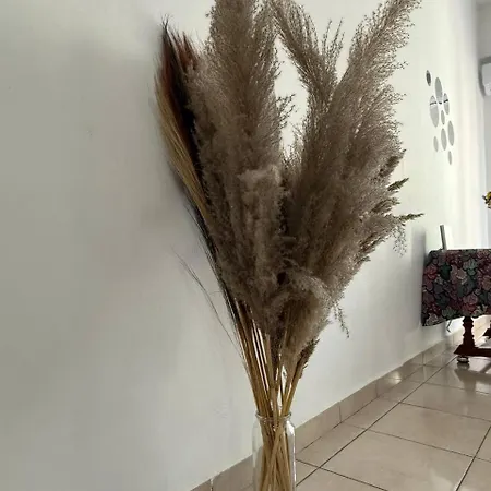 As 1 Apartment Orikum